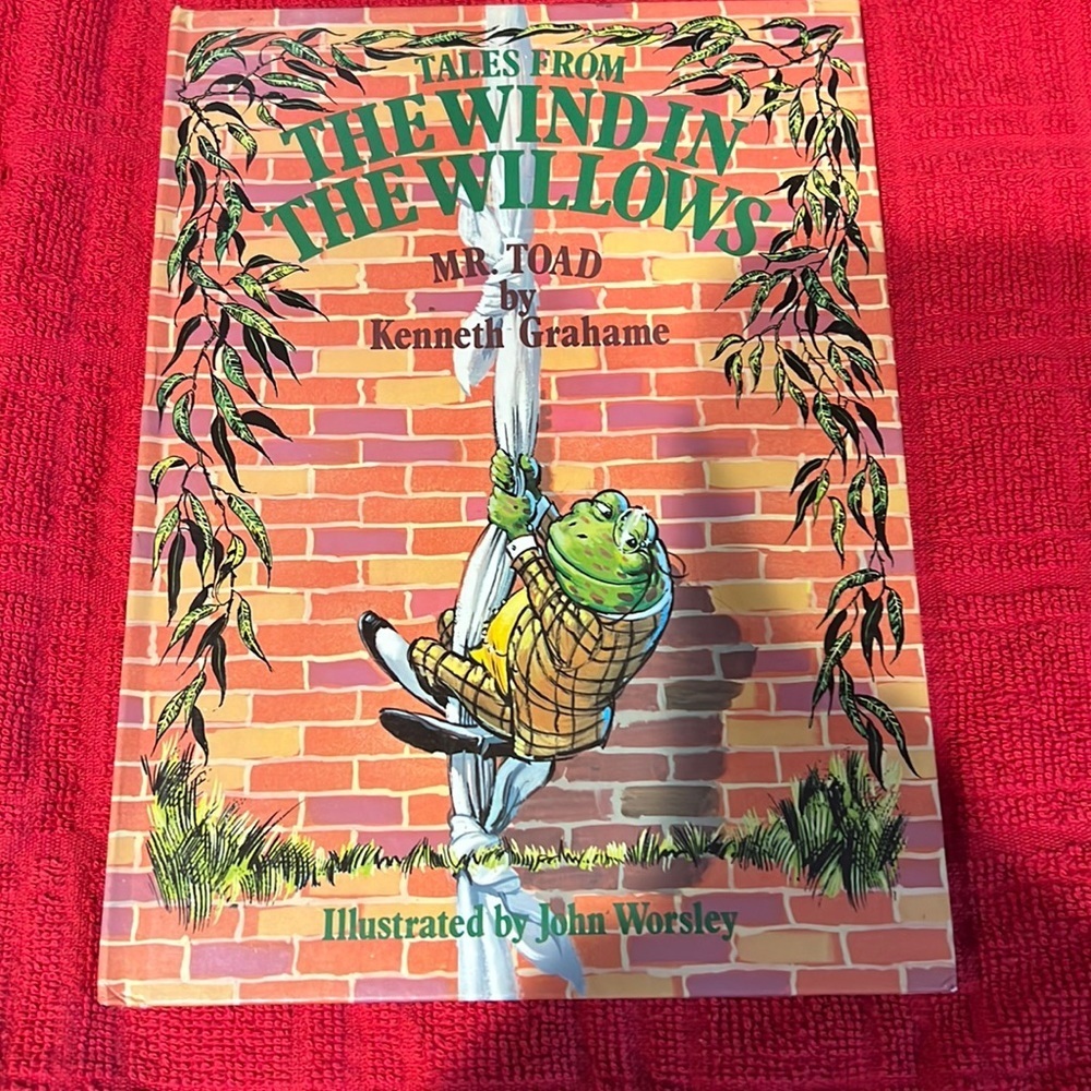 The wind in the willows vintage book